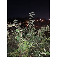 Trouble Spots image